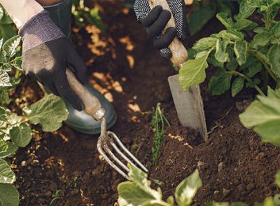 gardening